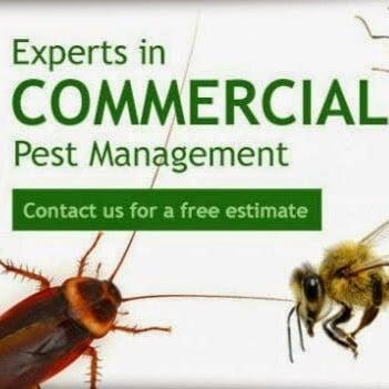 1st Choice Pest Management Systems