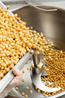 Fresh Garbanzos grown in Hanford, CA