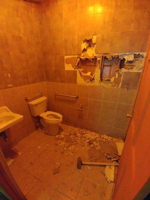 Bathroom Demolitoinbr*before*