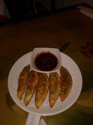 Fried dumplings