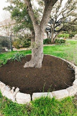 Mulched trees are happy trees