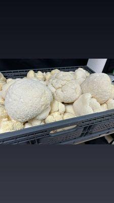 Lion's Mane Mushrooms