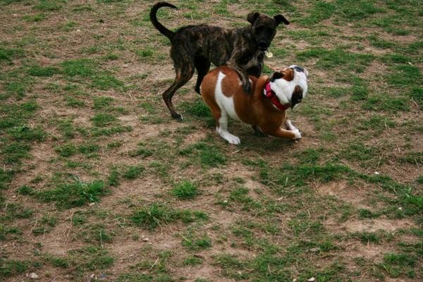 Leah playing with a friend!