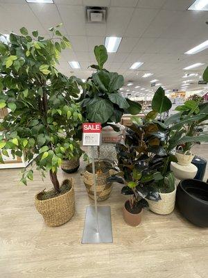 Artificial plant sale 25% off