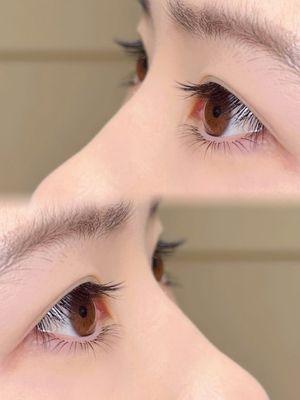 Natural Daily Eye Lash Design