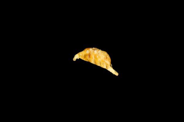 potsticker