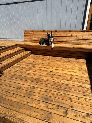 The pup loves how the new deck looks.