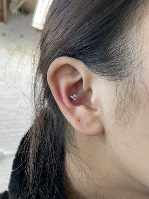 Conch piercing by Finn