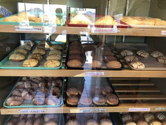 So many different pastries to choose from.