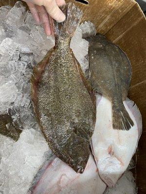 Whole flounder