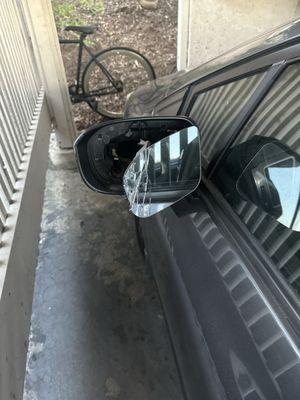 A before picture of my damaged left side mirror