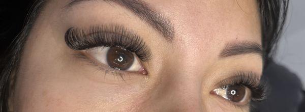 Volume lashes