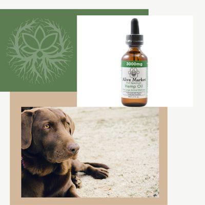 CBD For your Fur-Babies
 (Available on www.alive-market.com)