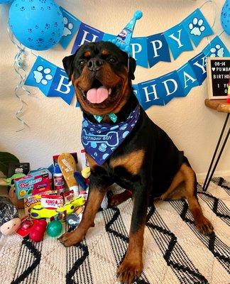 They have the best stuff!!! He loved all of his gifts and treats! Happy 1st birthday to Pumba