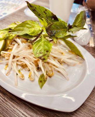 bean sprouts and basil (note the gray spots)