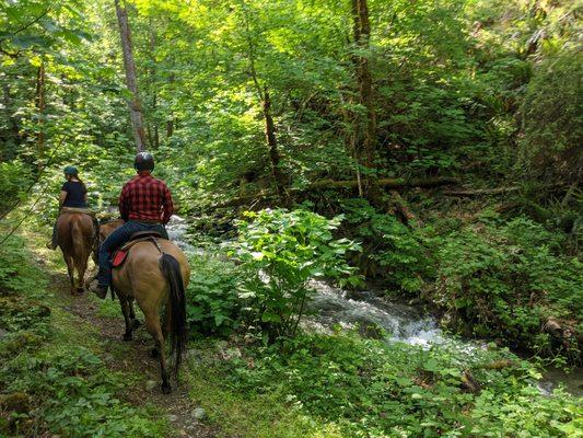 Beautiful trails