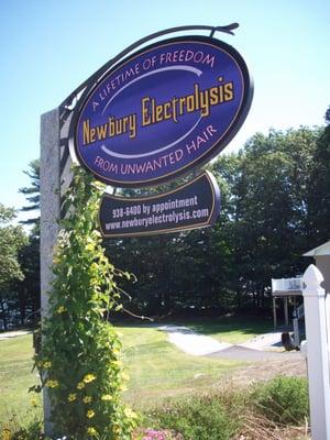 Newbury Electrolysis