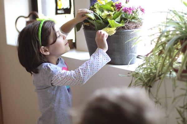 Checking the flowers.