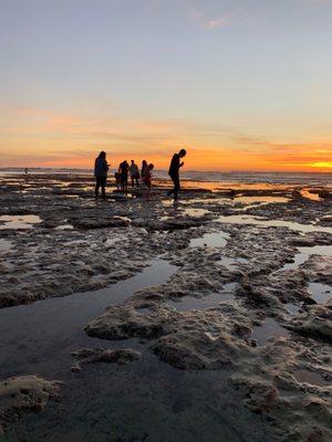 Cardiff State Beach