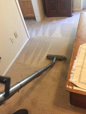 Carpet Cleaning