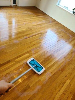 Cleaning & Sealing Wood Floors