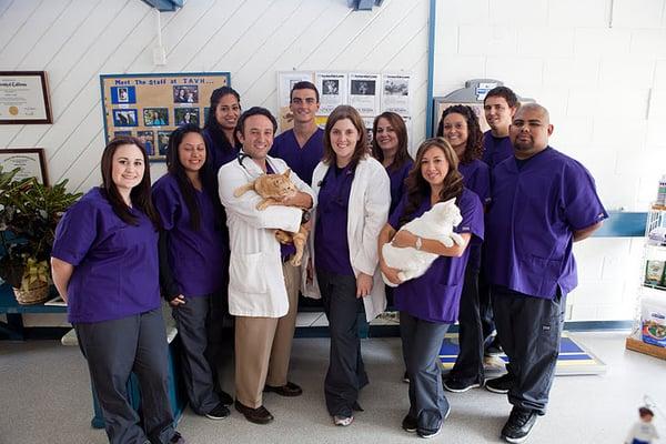 Our veterinary team