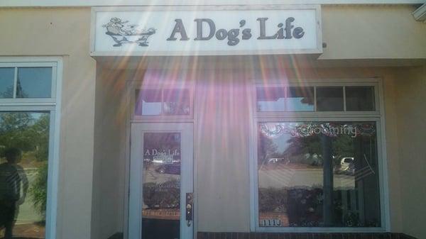 Pet Grooming Excellence!