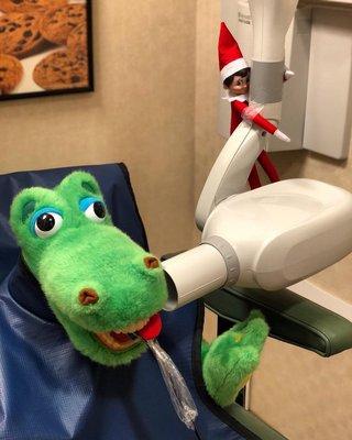 Even Allygator needs to get his teeth checked!