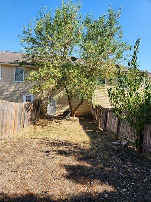 Tree problems by ac unit or close by house foundations can ruin your home and foundations.