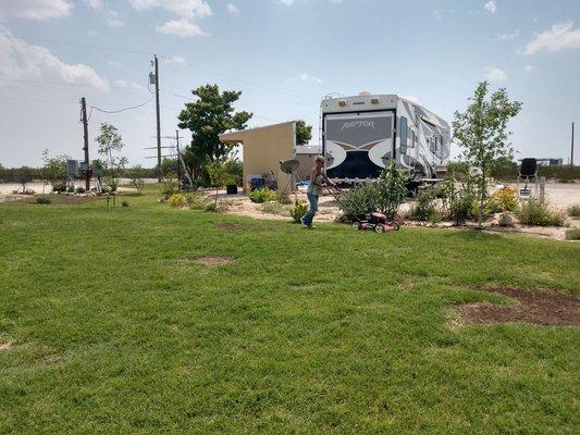 Mowed grass, flowers, like home in West Texas...