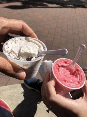 Milk and Cookies Ice Cream
 Red Raspberry Sorbet