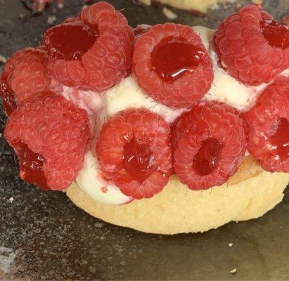 Raspberry Almond Tart