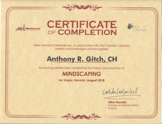 Certification in Mike Mandel's MINDSCAPING