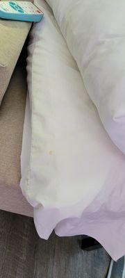 Pizza? Stains on pillow