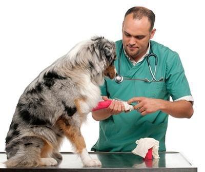 Peterson Veterinary Clinic