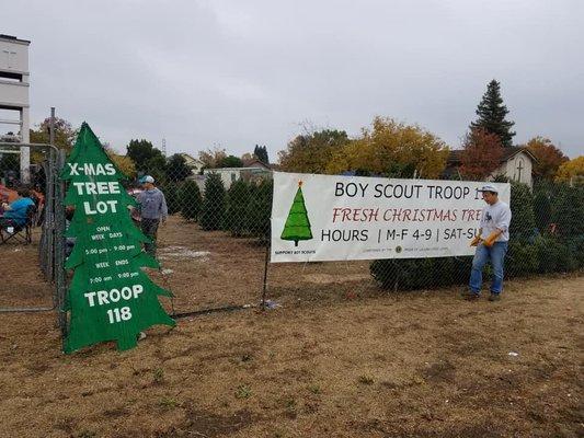 Getting the Tree Lot Ready