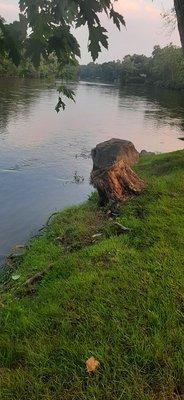 Peaceful view of the river from the backyard of the restaurant.