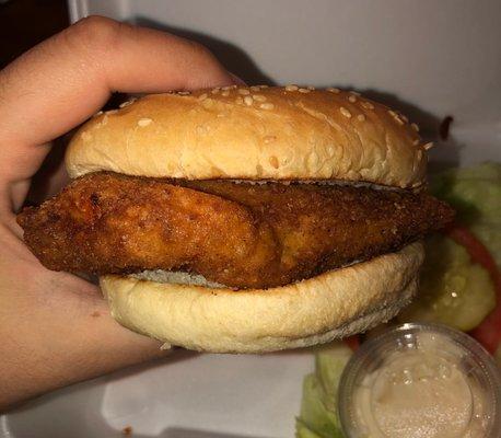 Breaded Breast of Chicken Patty