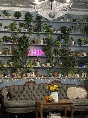 Cute plant wall