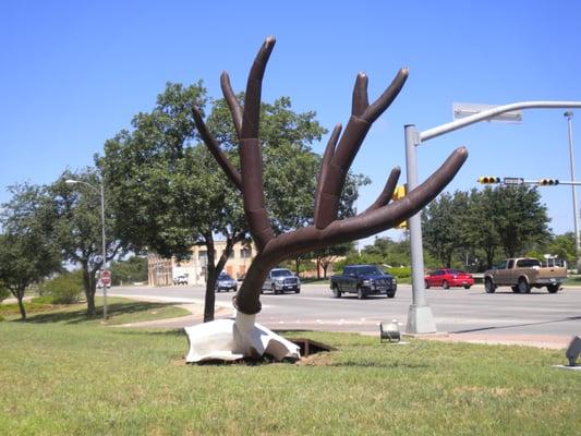 DESERT MULE DEER SKULL by Joe Barrington.  _Part of Abilene's Outdoor Sculpture Exhibition