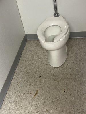 close up of poop on girls bathroom floor