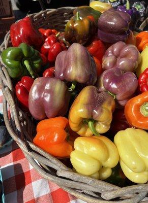 Such incredibly gorgeous peppers and so tasty.