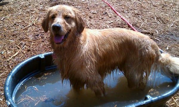 Pool Time in Daycare!