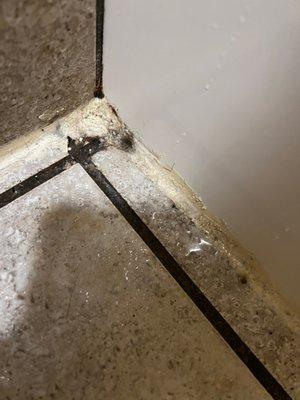 Mold throughout the room