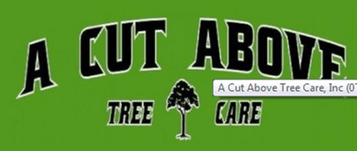 A Cut Above Tree Care & Landscape