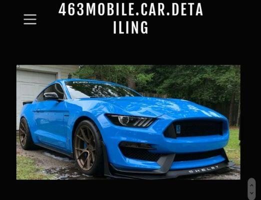 463Mobilecardetailing