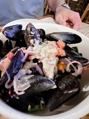 Blue mussels