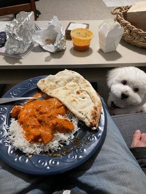 Chicken Tikka Masala and Garlic Naan and my dog