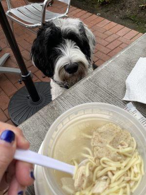 Matzo Ball Soup