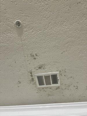 Mold around vent